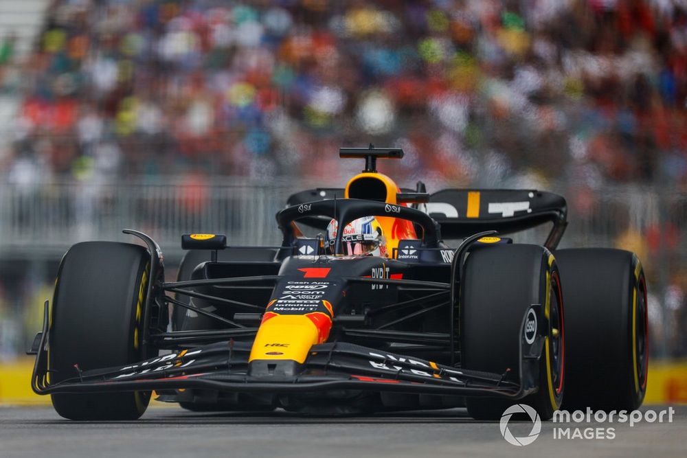 A bird remained lodged in Verstappen's front-right brake duct to the flag