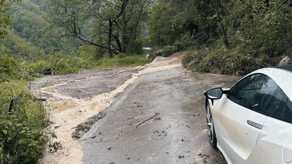 Как McLaren помогла Нику де Врису спастись во время наводнения Как McLaren помогла Нику де Врису спастись во время наводнения