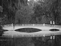 Canon EOS R50 Sample Gallery