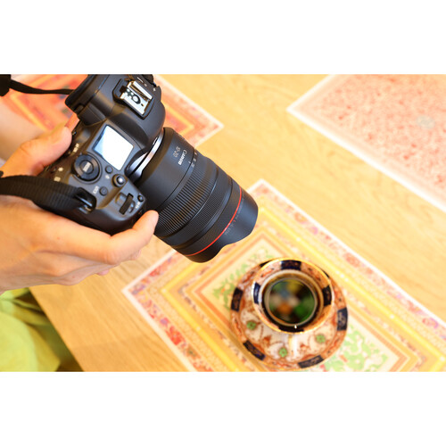 1696981548 IMG 2095115 - Canon announces the Canon RF 10-20mm f/4L IS STM