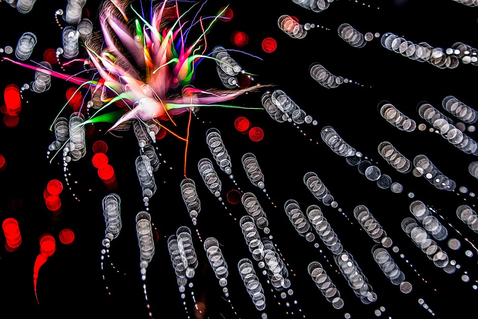 Forrest Pearson shares how to capture ‘organic’ fireworks with the blur focusing technique: Digital Photography Review Forrest Pearson shares how to capture ‘organic’ fireworks with the blur focusing technique: Digital Photography Review