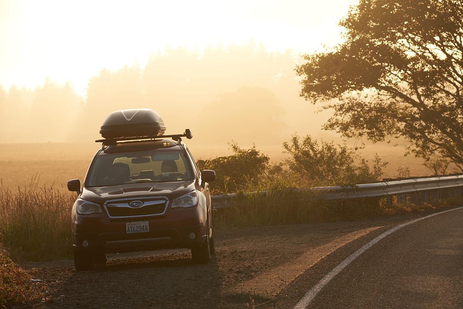 Sigma 60-600mm F4.5-6.3 DG DN OS sample gallery: Digital Photography Review