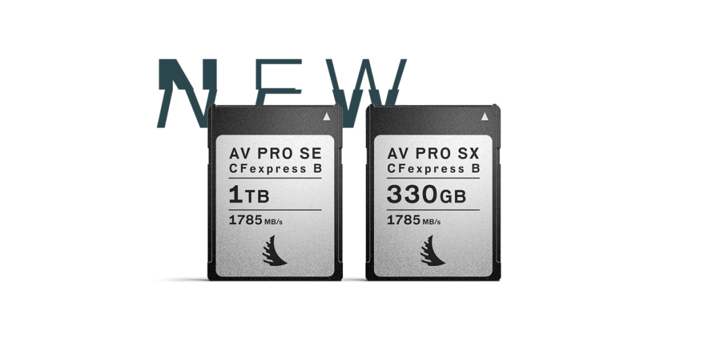 Angelbird выпускает новые карты CFexpress Type B SE и SX с большей емкостью и производительностью Angelbird выпускает новые карты CFexpress Type B SE и SX с большей емкостью и производительностью