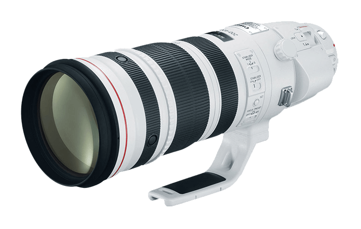 Canon RF 200-500mm f/4L IS USM подтвержден, вероятно, в четвертом квартале [CR3]