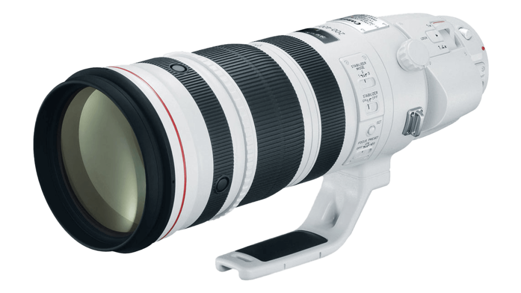 Canon readies the RF 200-500 f/4L IS with the discontinuation of the EF 200-400 f/4L IS 1.4x