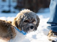 Галерея образцов Sigma 65mm F2 DG DN (DPReview TV)