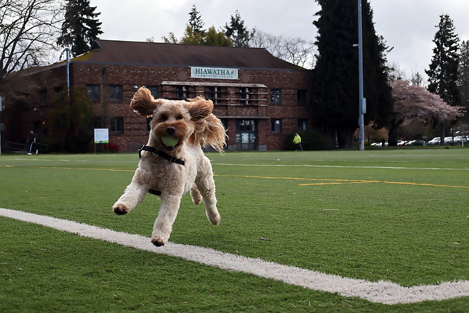 Галерея образцов Canon EOS R10: обзор цифровой фотографии Галерея образцов Canon EOS R10: обзор цифровой фотографии