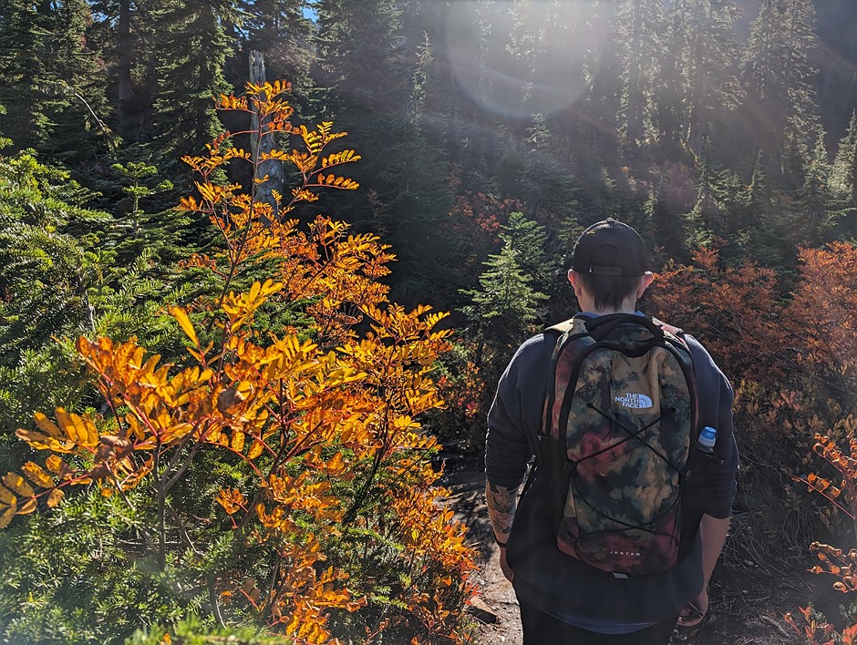 Google Pixel 8 and 8 Pro galleries:: Digital Photography Review Google Pixel 8 and 8 Pro galleries:: Digital Photography Review