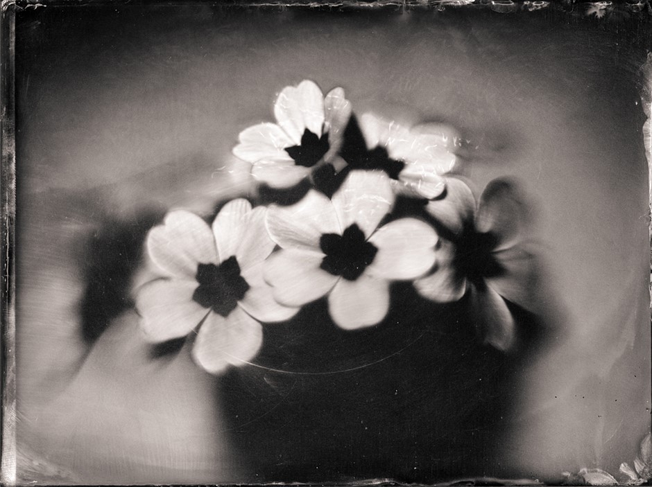 Film Friday: Съемка HDR-тинтипов с объективом проектора HD 120 мм f/1: Обзор цифровой фотографии Film Friday: Съемка HDR-тинтипов с объективом проектора HD 120 мм f/1: Обзор цифровой фотографии