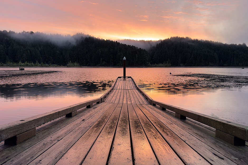 iPhone 15 Pro sample gallery: Do its high-res photos measure up?: Digital Photography Review