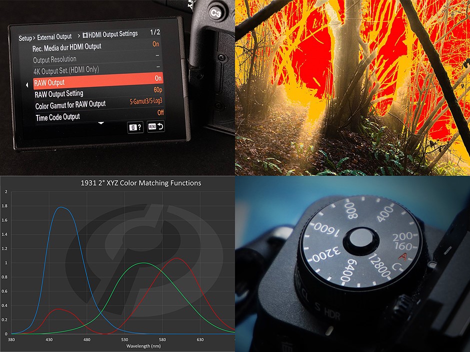 Understanding your camera, our best reads for learning what’s happening inside that light box: Digital Photography Review
