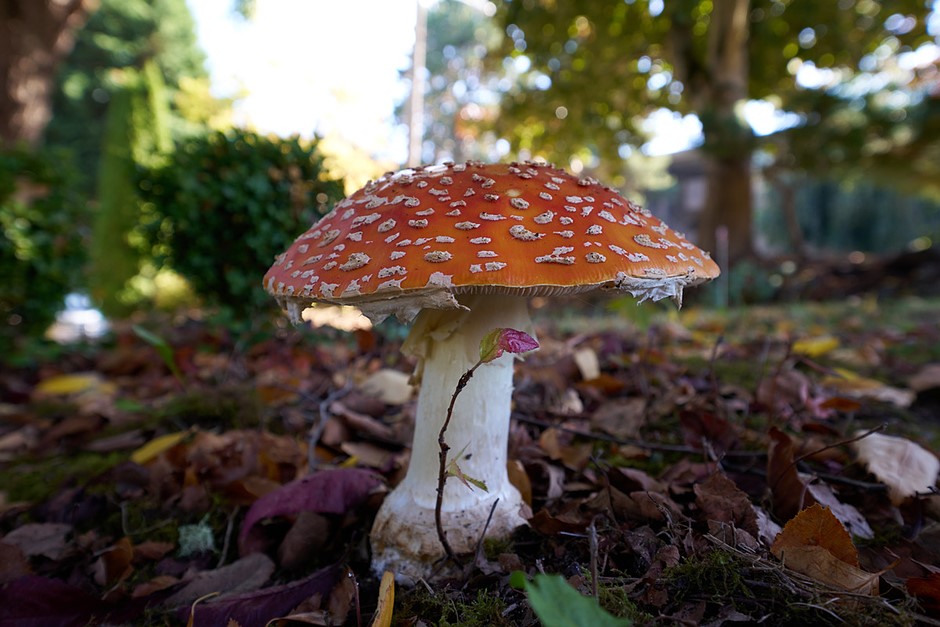 Sigma 10-18mm F2.8 DC DN first impressions and sample gallery: Digital Photography Review Sigma 10-18mm F2.8 DC DN first impressions and sample gallery: Digital Photography Review