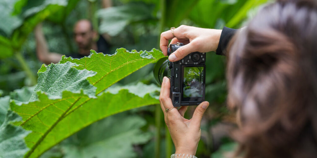 The new Alphas in town