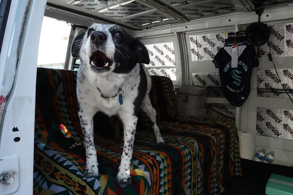 Галерея образцов Sony ZV-1 Mark II: Обзор цифровой фотографии Галерея образцов Sony ZV-1 Mark II: Обзор цифровой фотографии