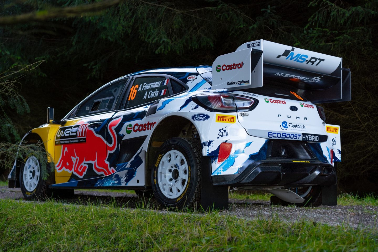 Ford Puma Rally1 сезона-2024 © M-Sport