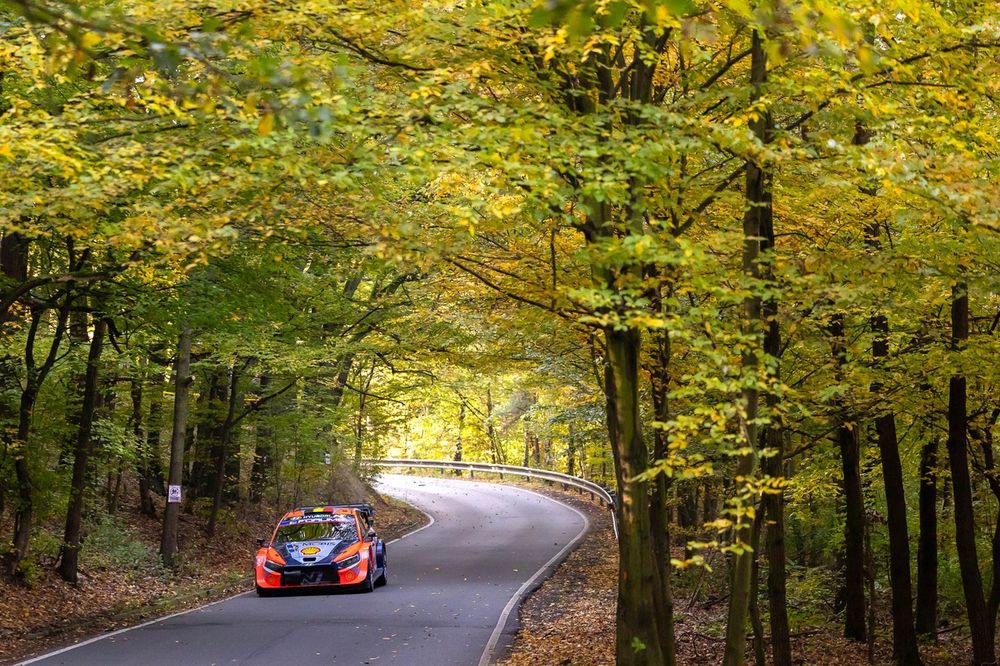 Thierry Neuville, Martijn Wydaeghe, Hyundai World Rally Team Hyundai i20 N Rally1