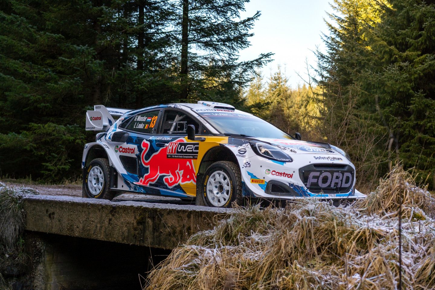 Ford Puma Rally1 сезона-2024 © M-Sport