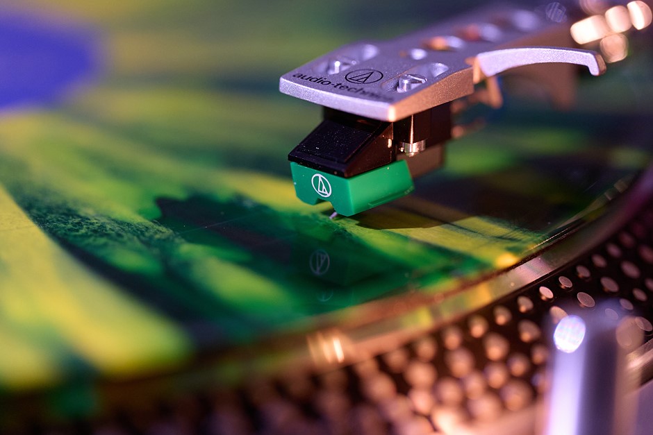 Panasonic Lumix S 100mm F2.8 Macro sample gallery: Digital Photography Review